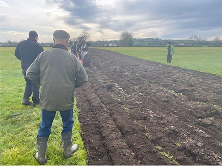 Free Ploughing Match Ploughing photo and picture