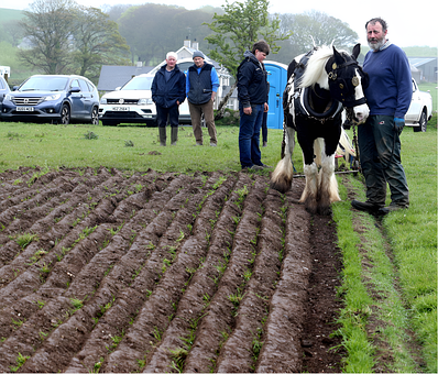 Free Ploughing Match Ploughing illustration and picture