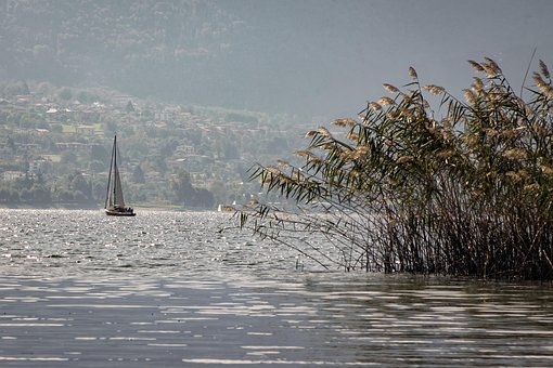 De Naald, Zeilboot, Stormloop, Rieten