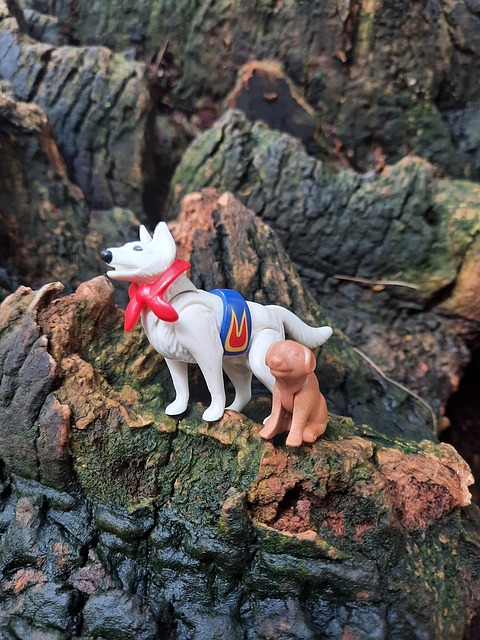 Hunde, Dukker, Natur, Montering
