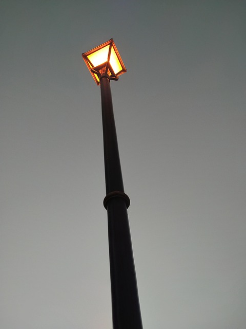 Free Idea Bright photo and picture