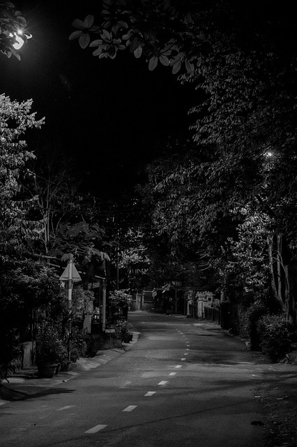 Free Road Black And White photo and picture