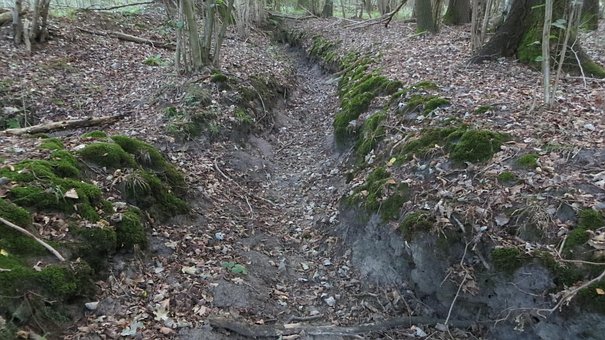 Free Trenches Woods Of Germany photo and picture