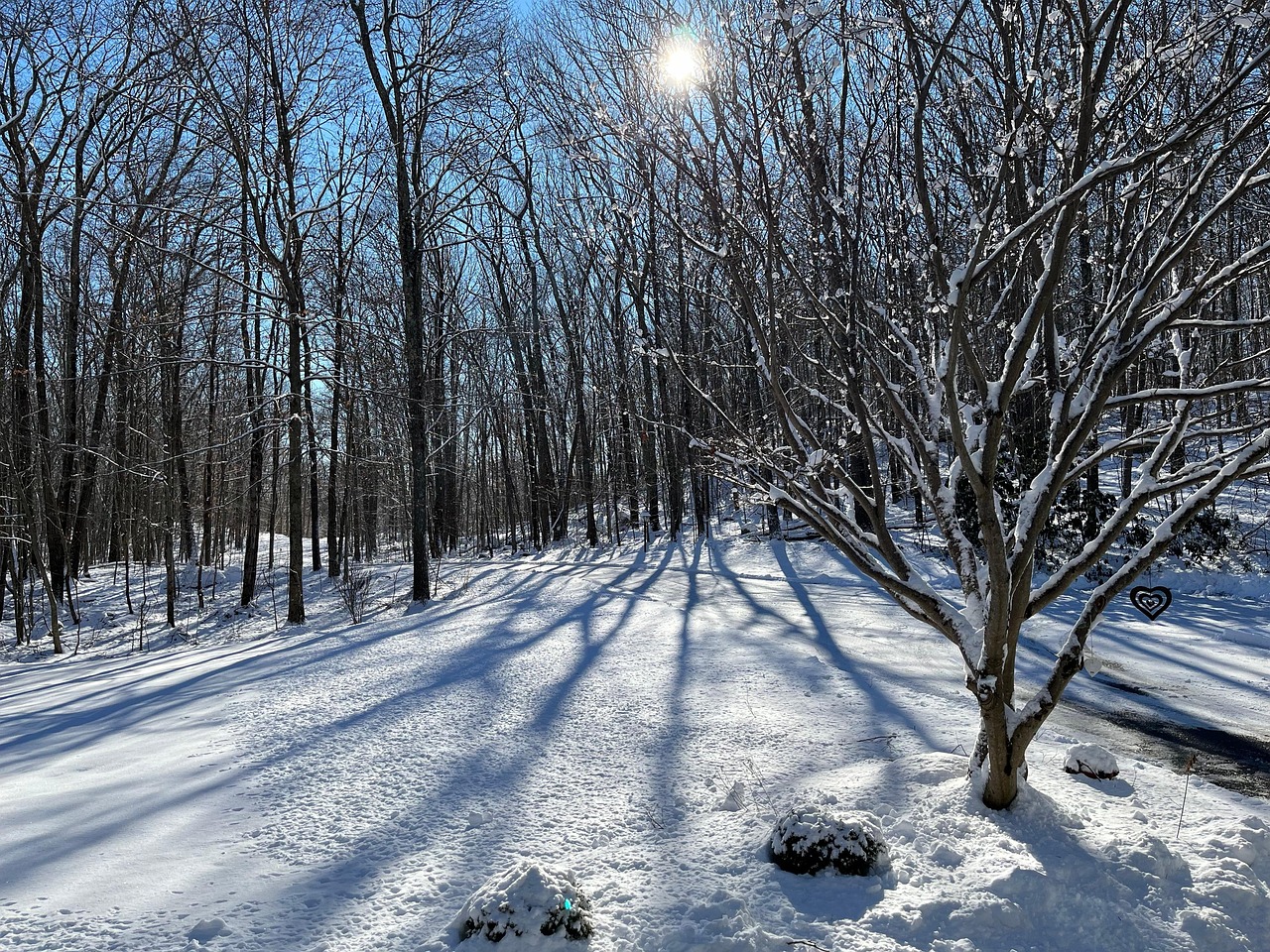 冬天 雪 阳光 - Pixabay上的免费照片 - Pixabay