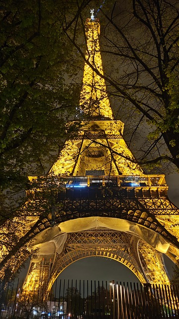 Free Paris France photo and picture