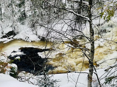 Flod, Natur, Vand, Skov, Landskab