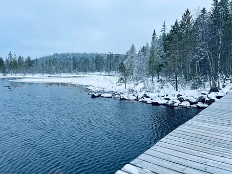 Vinter, Sne, Natur, Kold, Landskab, Skov