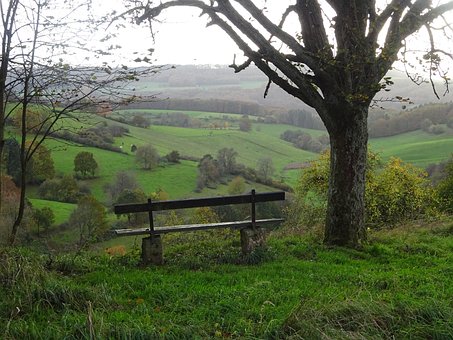Sofa, Landschaft, Natur, Green, Bäume