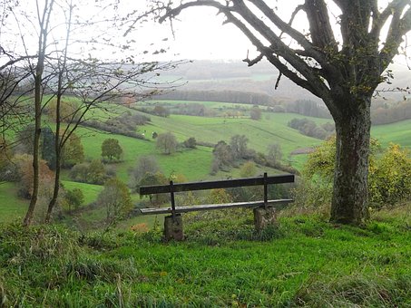 Sofa, Landschaft, Natur, Green, Bäume