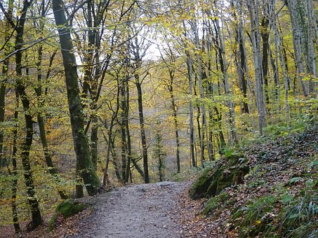 Herbst, Großherzogtum Luxemburg