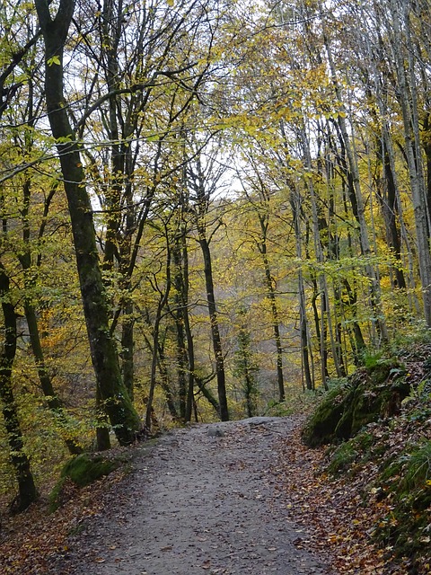 Herbst, Großherzogtum Luxemburg