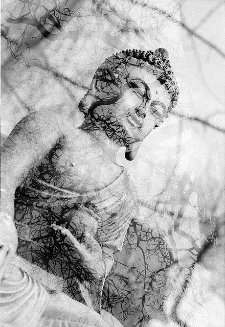 Free Buddha Statue photo and picture