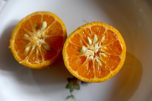 Free Oranges Sliced photo and picture