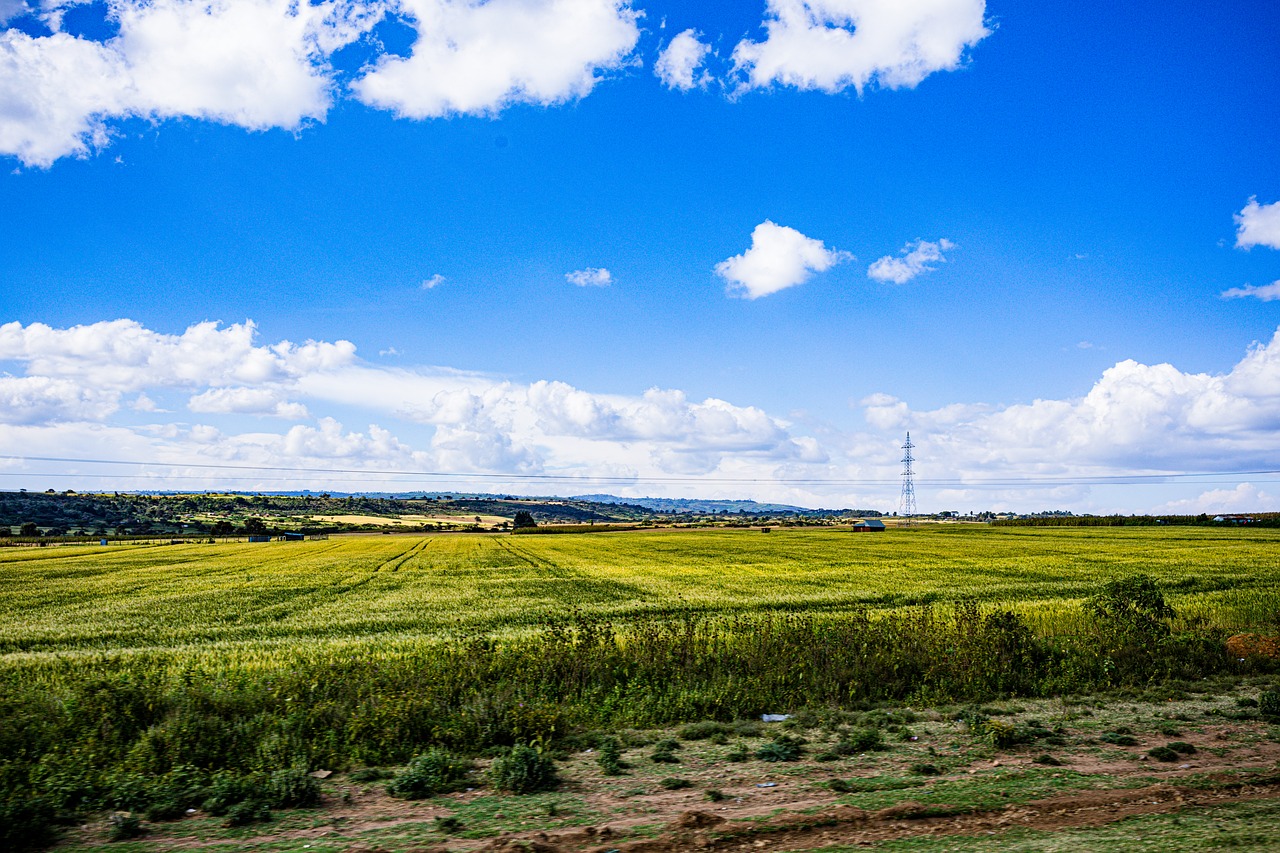 Kenya Land Lanscape Free Photo On Pixabay Pixabay kenya-land-lanscape-free-photo-on-pixabay-pixabay
