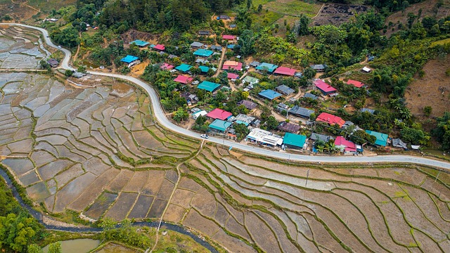 Free Vietnam Rice Fields photo and picture