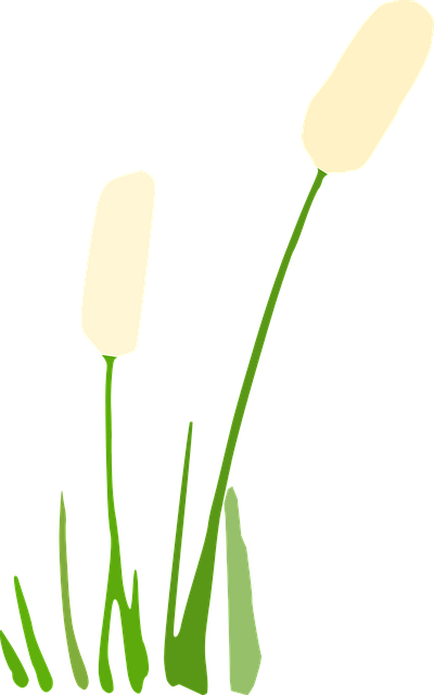 Free Flower Grass vector and picture