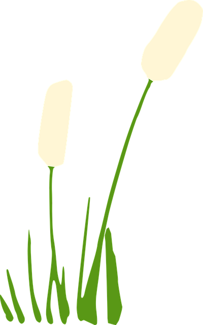 Free Flower Grass vector and picture