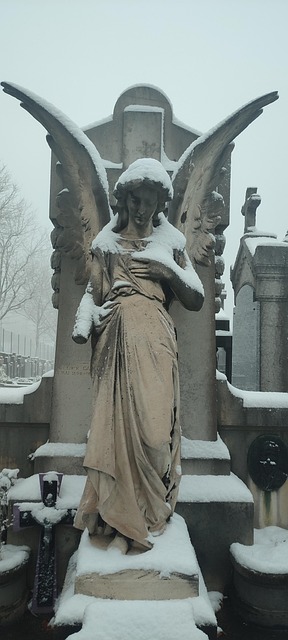 Free Angel Wings photo and picture