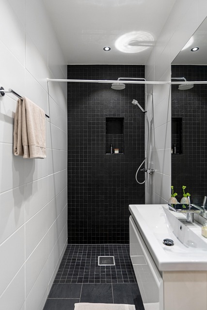 Cuarto De Baño, Inodoro, Ducha, Edificio