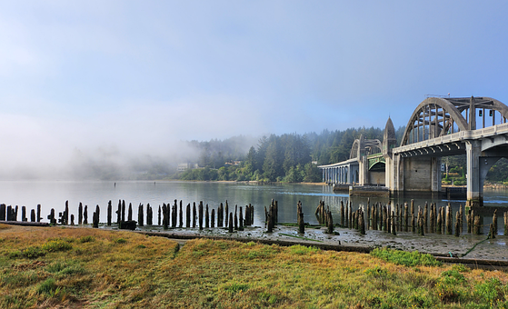 Rivier, Brug, Mist, Ochtend, Natuur, Dok