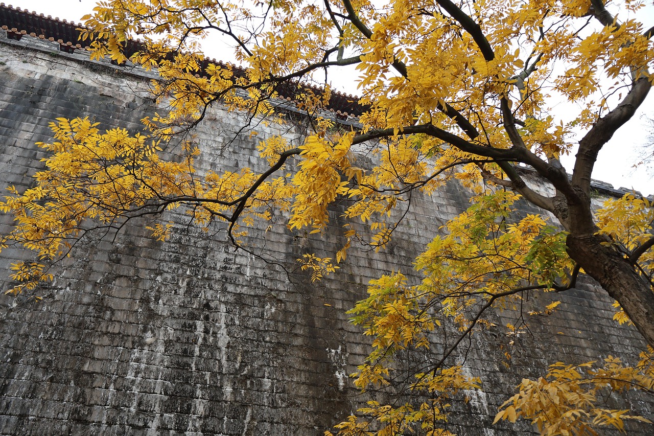 古寺 秋天 - Pixabay上的免费照片 - Pixabay