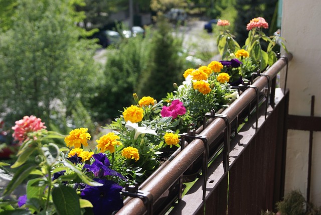 Balcon Appartement Fleurs - Photo gratuite sur Pixabay - Pixabay