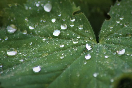 Free Water Nature photo and picture