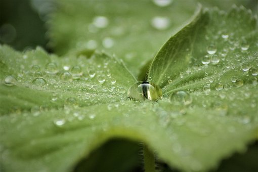 Free Water Nature photo and picture