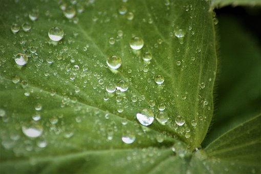 Free Water Nature photo and picture