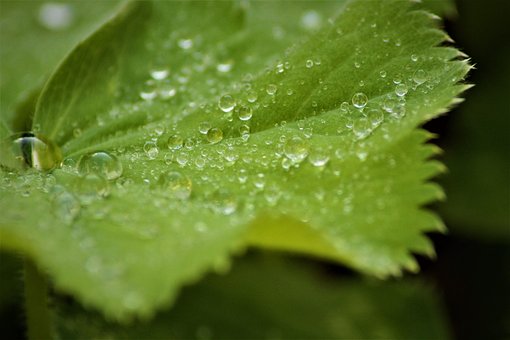 Free Water Nature photo and picture