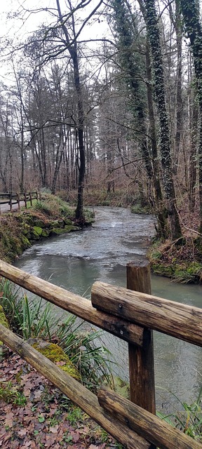 Free Nature Water photo and picture