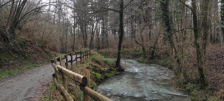 Free River Landscape photo and picture