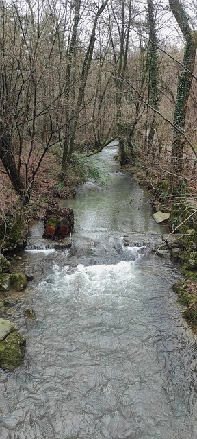 Free River Landscape photo and picture