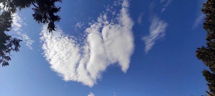 Free Sky Atmosphere photo and picture