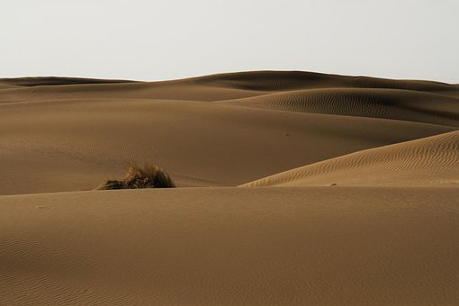 Free Desert Sand photo and picture