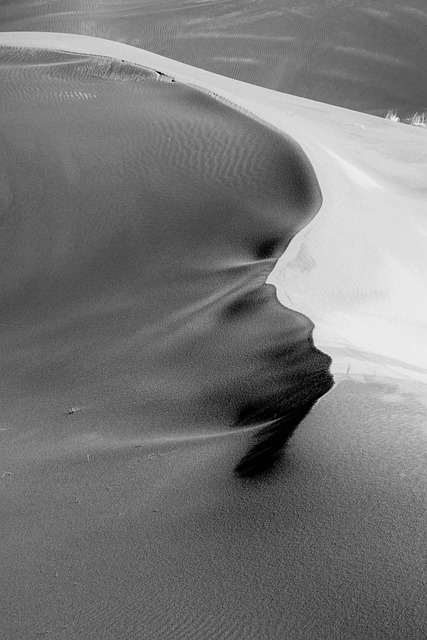 Free Desert Sand photo and picture