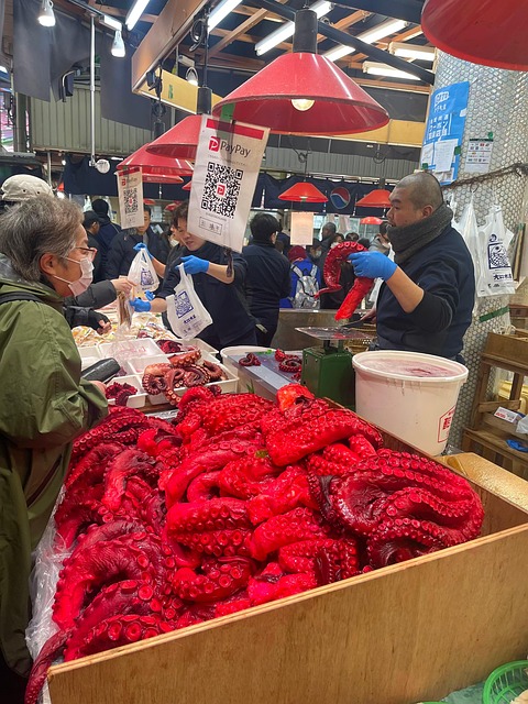 Free Red Octopus Japan photo and picture