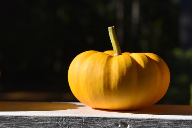 Free Pumpkin Autumn photo and picture
