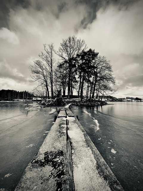 Free Winter Nature photo and picture