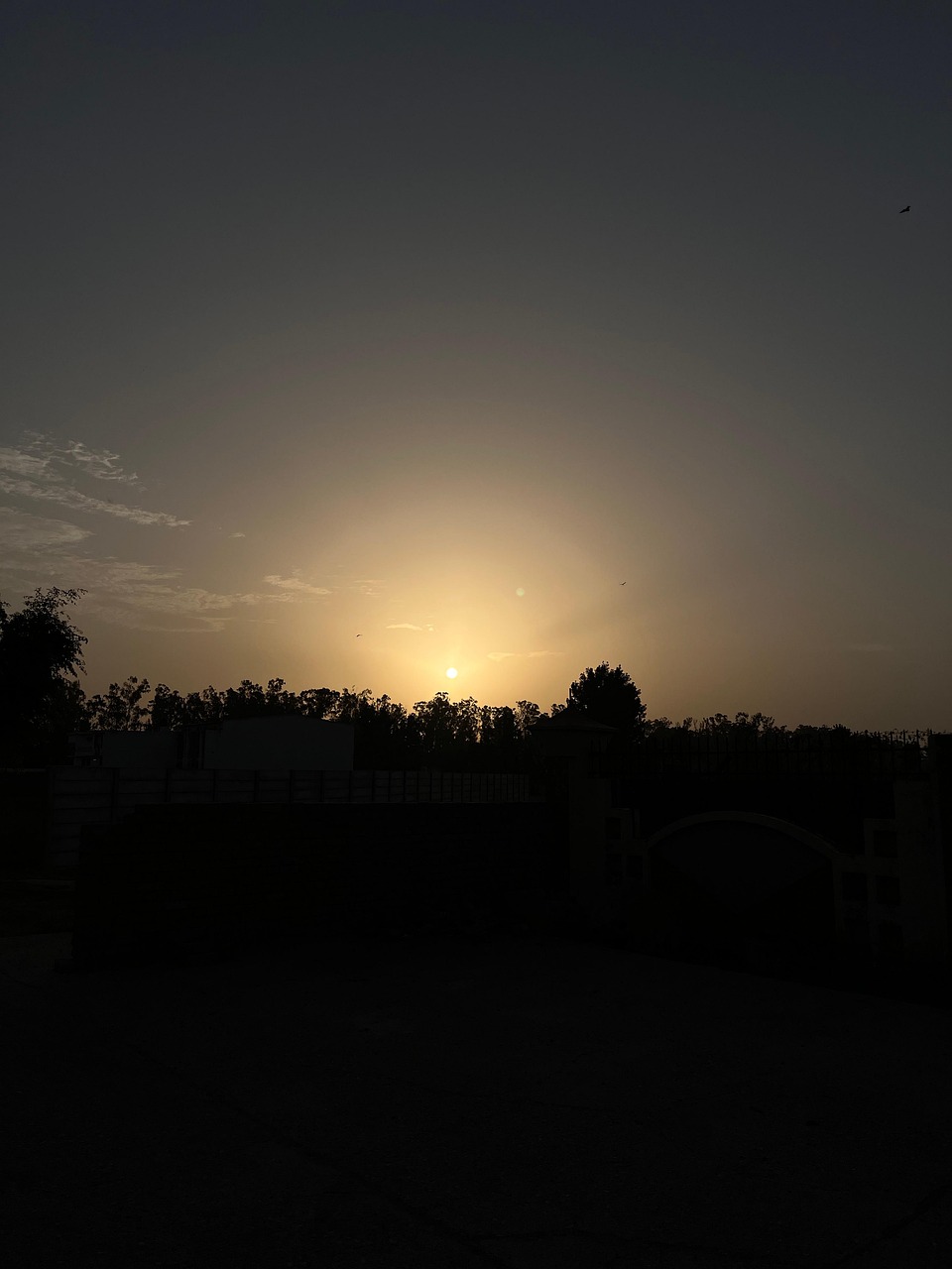  Morning Sunrise Fresh - Free photo on Pixabay - Pixabay 