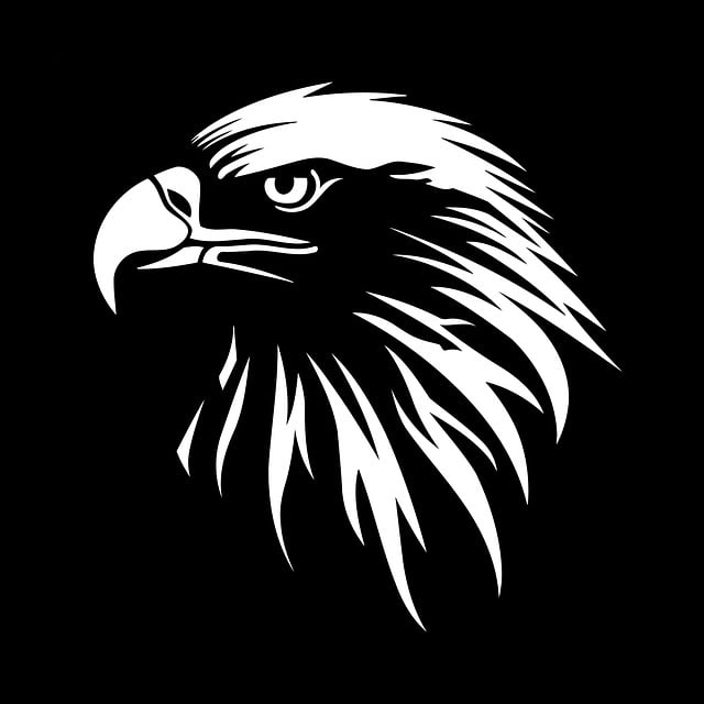 Free eagle head bird vector
