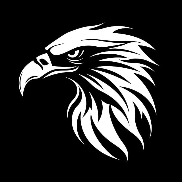 Download free HD stock image of Eagle Head Free eagle head bird vector