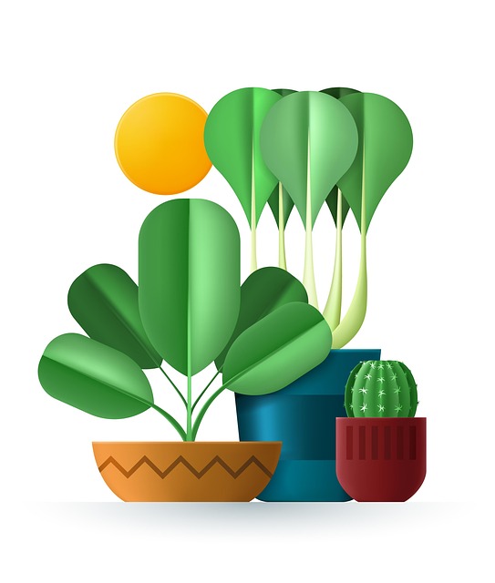 Free Cactus Succulents illustration and picture