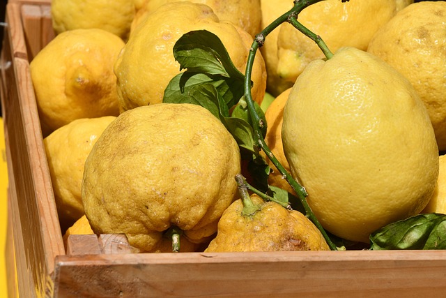 Free Lemon Summer photo and picture