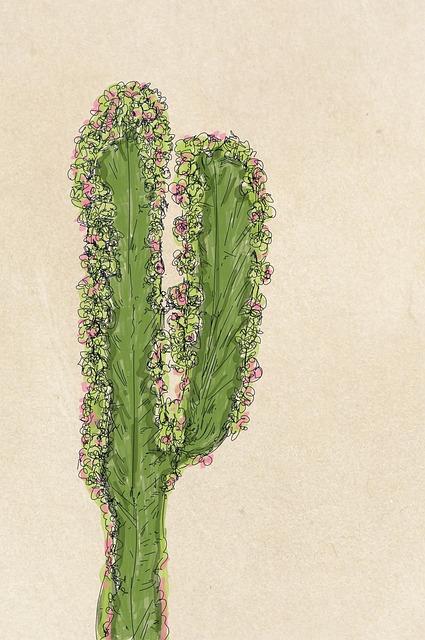Free cactus desert garden illustration