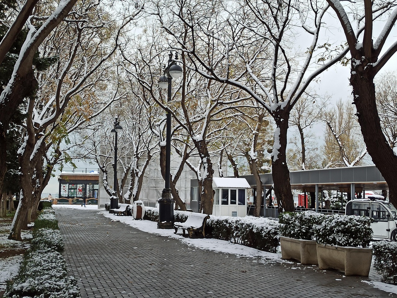 Baku Azerbaijan Snow Free Photo On Pixabay Pixabay baku-azerbaijan-snow-free-photo-on-pixabay-pixabay
