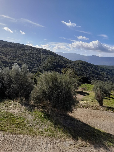 Free Clouds Nature photo and picture