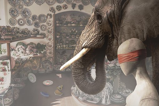 Free Elephant China Shop photo and picture