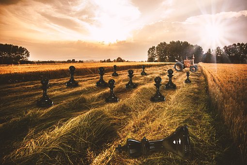 Free Agriculture Field photo and picture