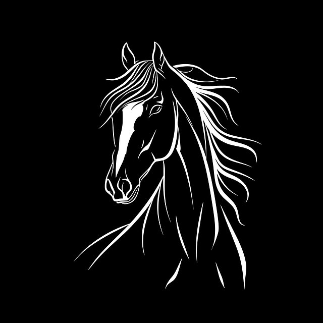 Hest, Pony, Hoved, Dyreliv, Vild, Natur
